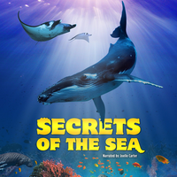 Secrets of the Sea Thumbnail