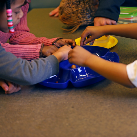 K-2 Lab Programs - Need for Seed 