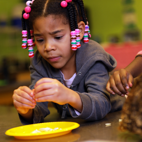 K-2 Lab Programs - Need for Seed 
