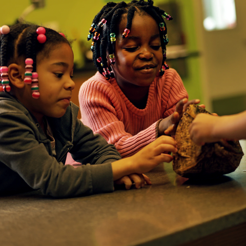 K-2 Lab Programs - Need for Seed 