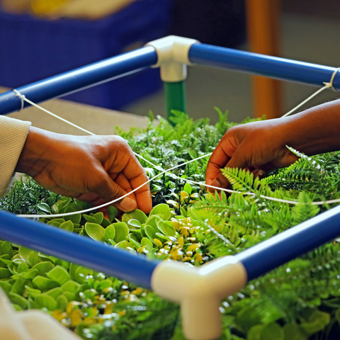 6-8 Lab Programs - Biodiversity Explorers 