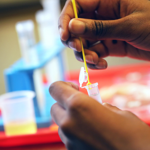 6-8 Lab Programs - Gene-ius of Taste