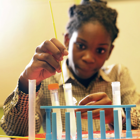 6-8 Lab Programs - Gene-ius of Taste