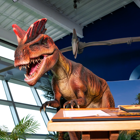 River of Life - Hero - Dilophosaurus
