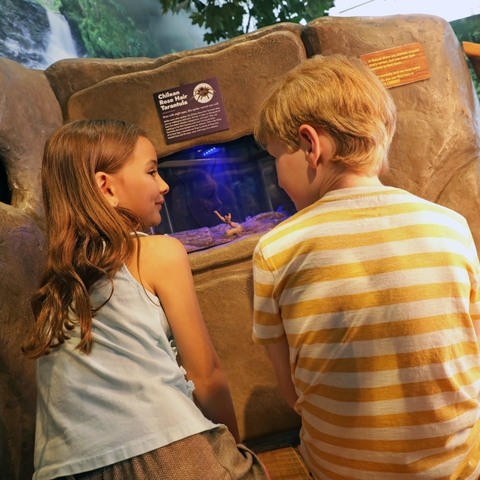River of Life Kids