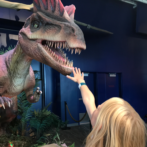 Girl with Dinosaur - Chompers 