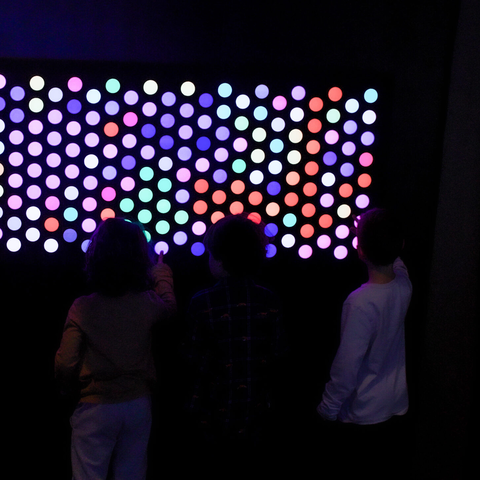 Forest of Illusions Mom and Kids Lightwall