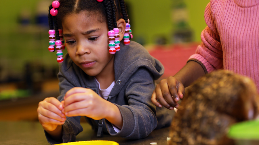 K-2 Lab Programs - Need for Seed 