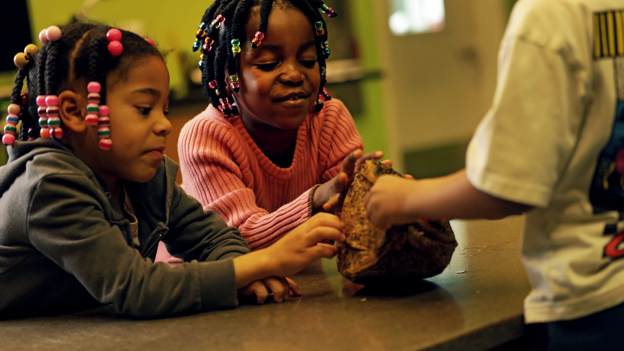 K-2 Lab Programs - Need for Seed 
